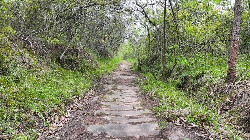四川綿陽仙海鳳凰山古道(國家文物局供圖)