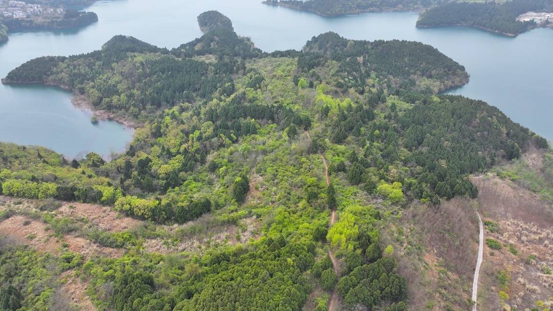 綿陽仙海鳳凰山古道航拍(四川省文物考古研究院供圖)