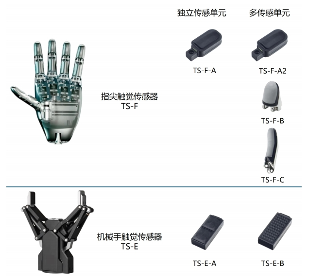 图片来源：他山科技供图