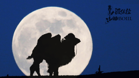 《波依拉》《脐带》《猎虎》……内蒙古电影刷屏亚洲电影节