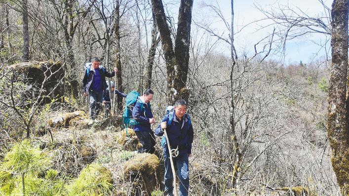 圖為:護林員行進在山路上。(湖北日報通訊員 魏家鋒 攝)