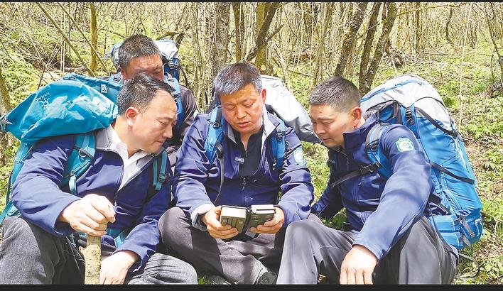 圖為:護林員查看紅外相機。 (湖北日報通訊員 魏家鋒 攝)