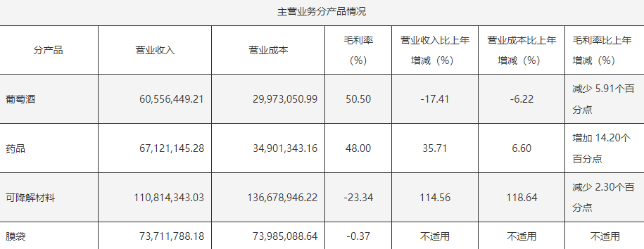 莫高股份2024年年报截图