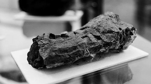 图片来源:Salvatore Laporta