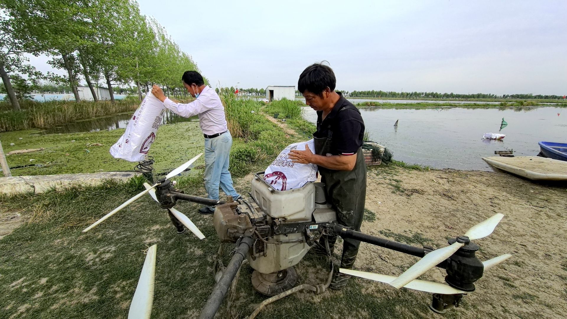 2023年农村养殖这4种项目年赚30万宝博体育- 宝博体育官网- 宝博体育APP下载 BaoBoSports你还不知道？