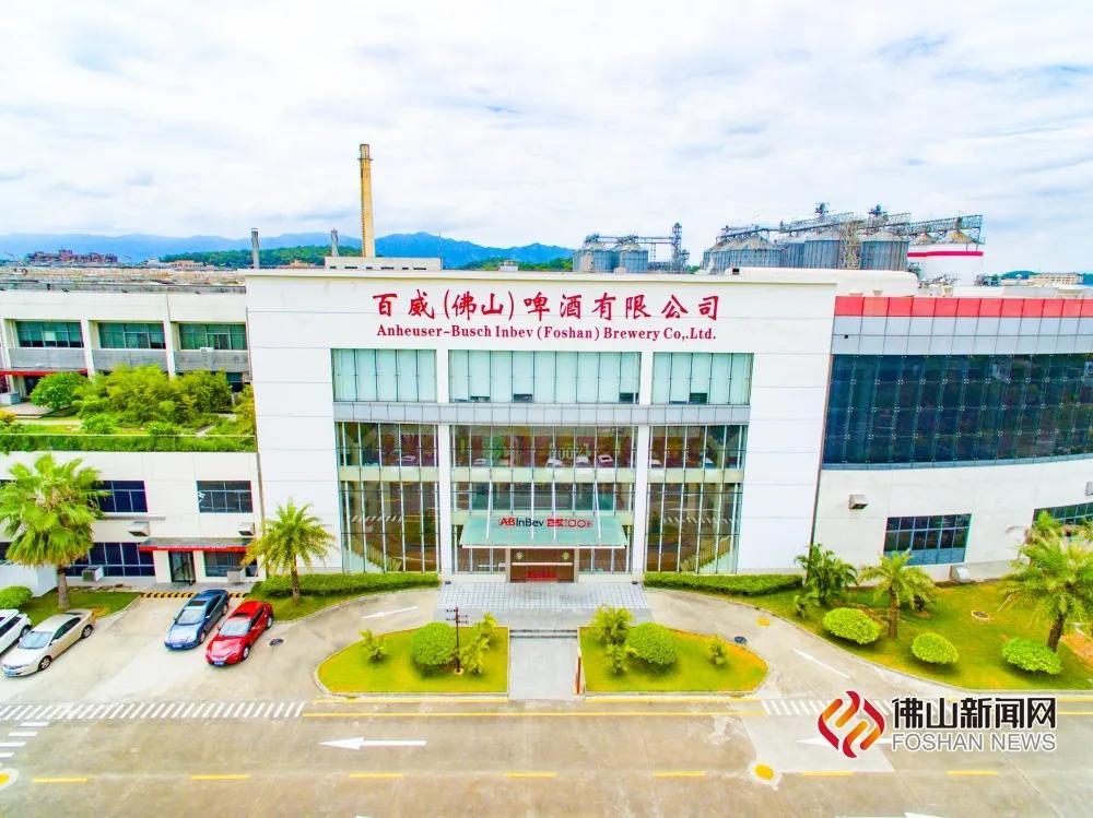 百威（佛山）啤酒有限公司。林蔚坚摄