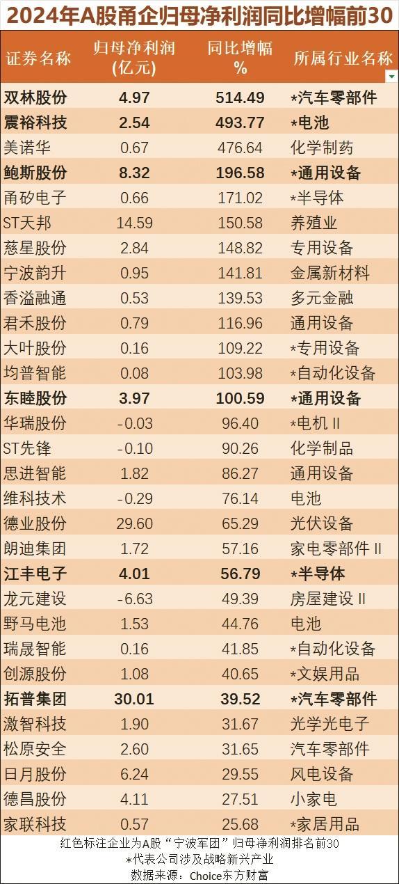 　　2024年A股甬企归母净利润同比增幅前30位