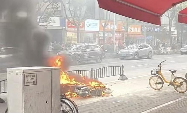 现场图。网友摄
