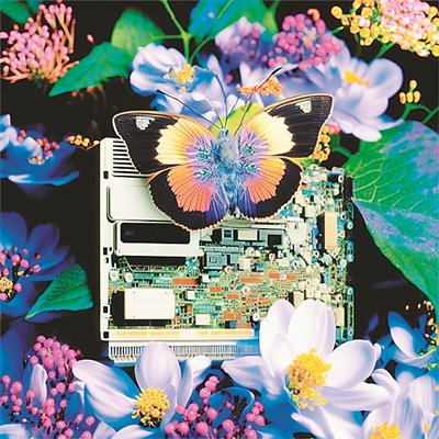 桑治婷創作的AI平面藝術作品《算力·蝶戀花》。受訪者供圖