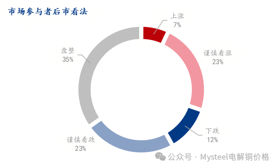 Mysteel调研:中国铜市情绪调研(2025.5.9)