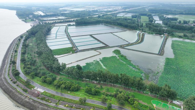 蔣壩鎮頭河村螺螄產業示範基地。駱兵攝