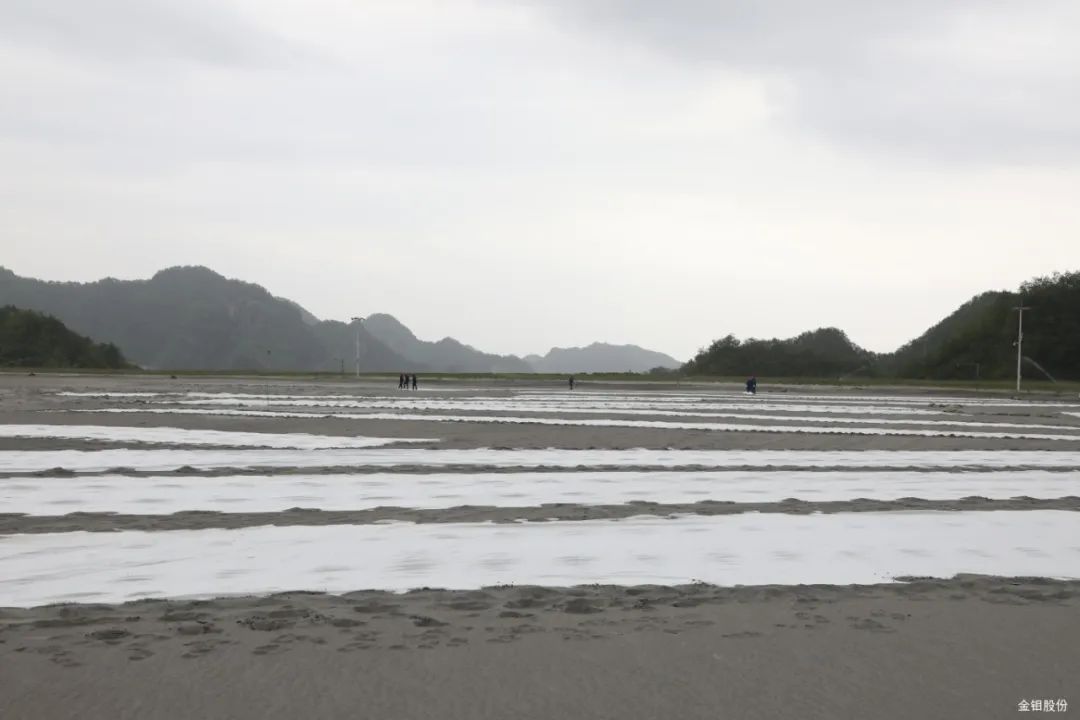 △覆盖坝面