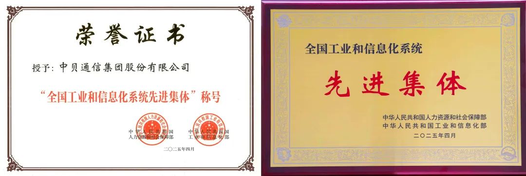 图1:荣誉证书与奖牌