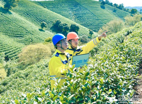 浙江移动联合电子科大长三角(湖州)研究院研发便携式移动基站,赋能湖州万亩茶园生产