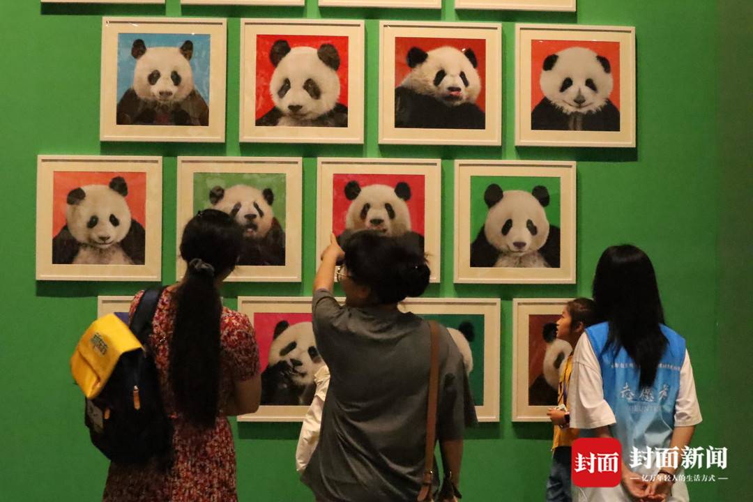 觀眾參觀展覽 圖據成都自然博物館