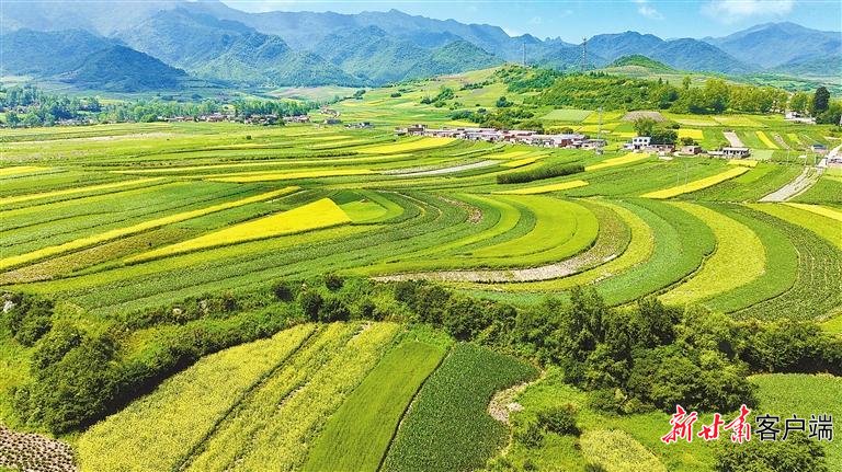 渭源縣美麗的田園風光。 渭源縣融媒體中心供圖
