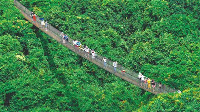 三亞熱帶天堂森林公園雨林漫步。黃慶優 攝