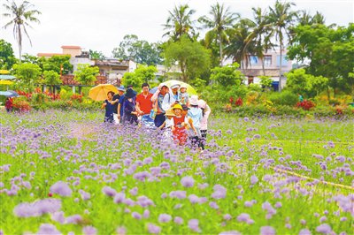 定安鄉村田園遊。張茂 攝