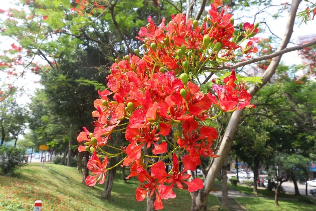 摄影: