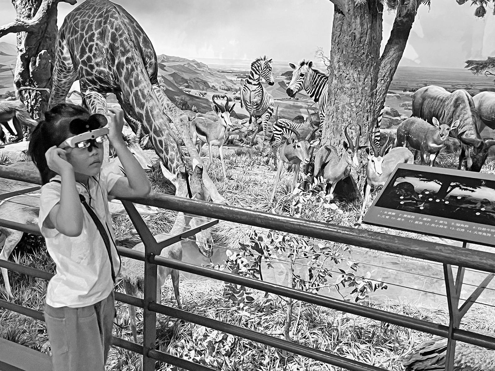 小观众在国家自然博物馆使用AR眼镜参观 王诗培 摄