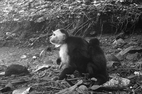 图片来源:Brendan Barrett