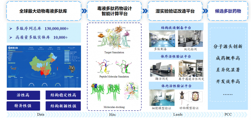 图2. 依托动物毒液多肽库开发多肽药物流程