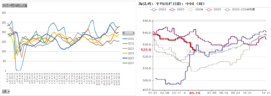 数据来源:紫金天风期货研究所