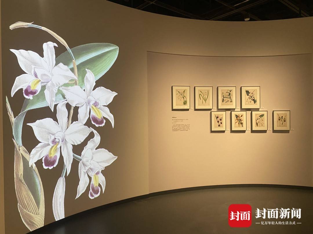 展覽現場