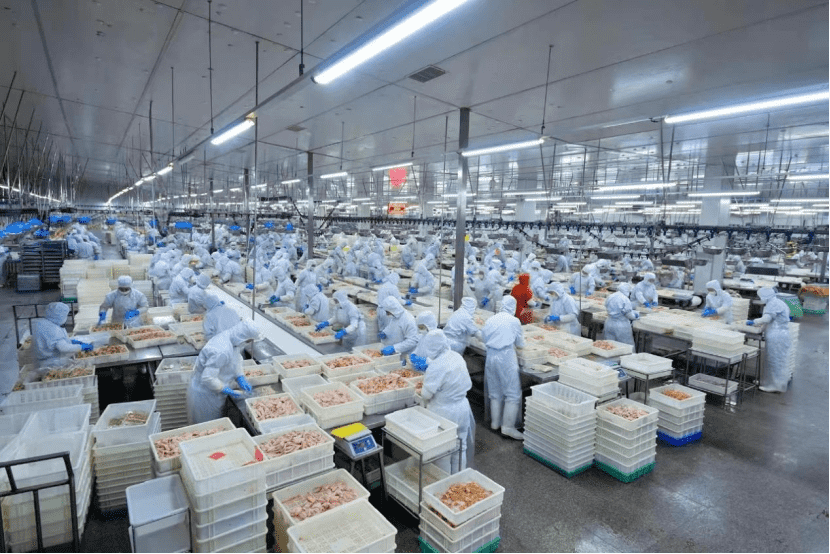 图为农行辽宁省分行支持的白羽肉鸡产业集群