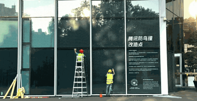 施工人员正在给滨海大厦的玻璃幕墙贴“膜”。来源:腾讯微信公众号