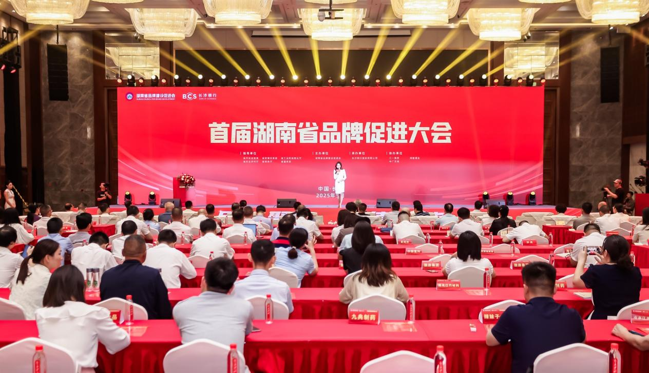 图为首届湖南省品牌促进大会现场