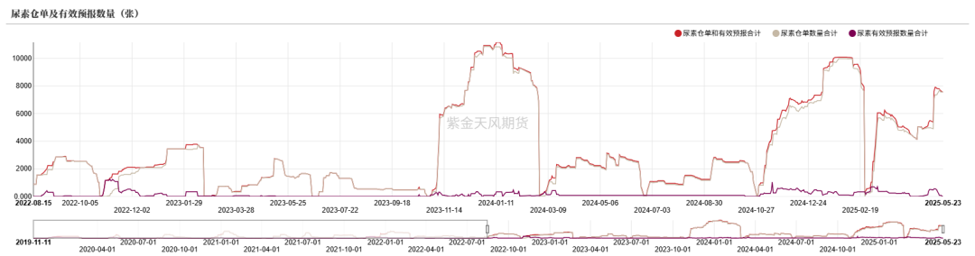 数据来源:郑商所,WIND,紫金天风期货