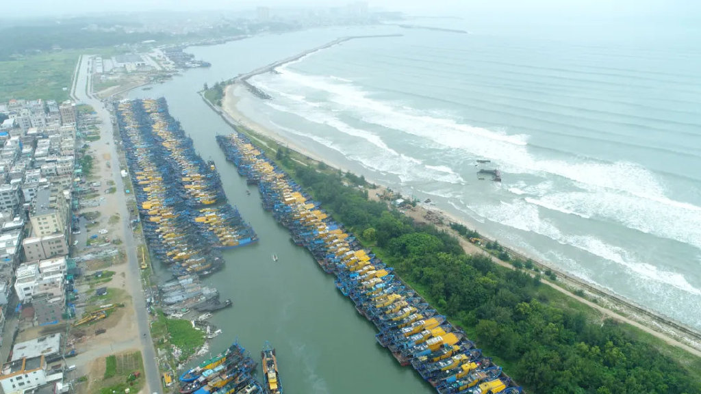 2023年8月31日，随着台风“苏拉”靠近，广东省揭阳市惠来县各类船舶全部提前回港避风。摄影：王永康