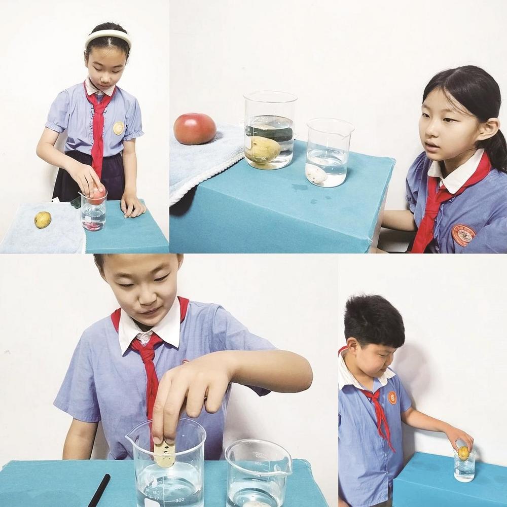 创宸精英小学开展趣味学习活动(深度揭秘)