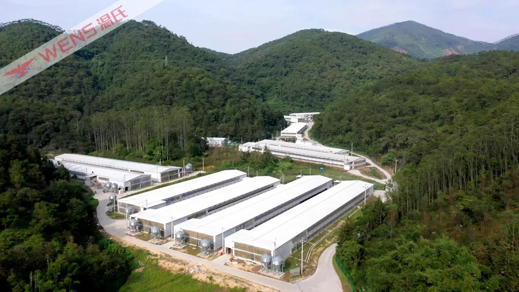 “政银企村”共建云卓面养殖小区