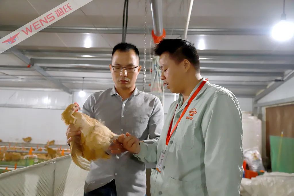 温氏农户服务员指导合作农户养鸡