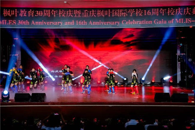 图十 搏击表演