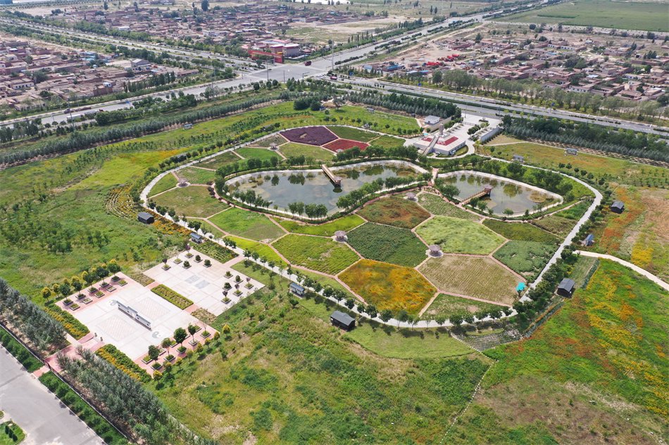 佛慈陇药园一片生机。受访者供图