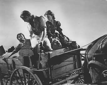 　　《乱世佳人》剧照