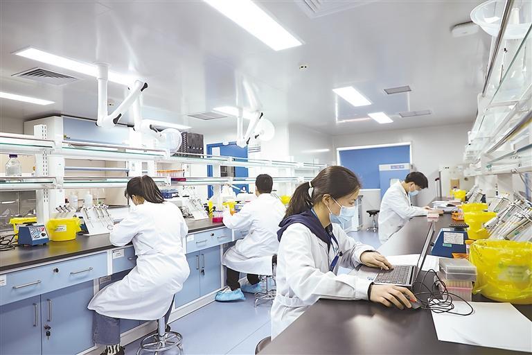 图为在国科赛赋河北医药技术有限公司实验室，实验人员正在做免疫生物分析。 本报记者 董旭旭 摄