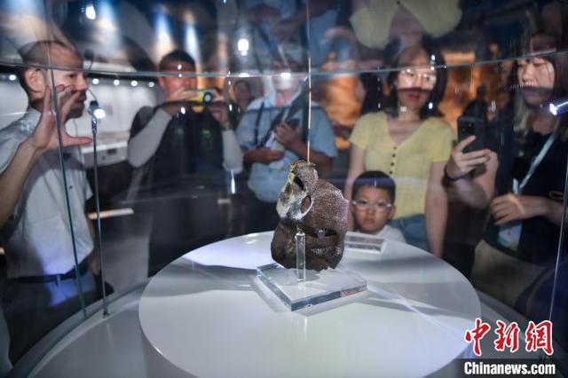 6月10日,游客在文昌极星陨石博物馆参观陨石标本。中新网记者 骆云飞 摄