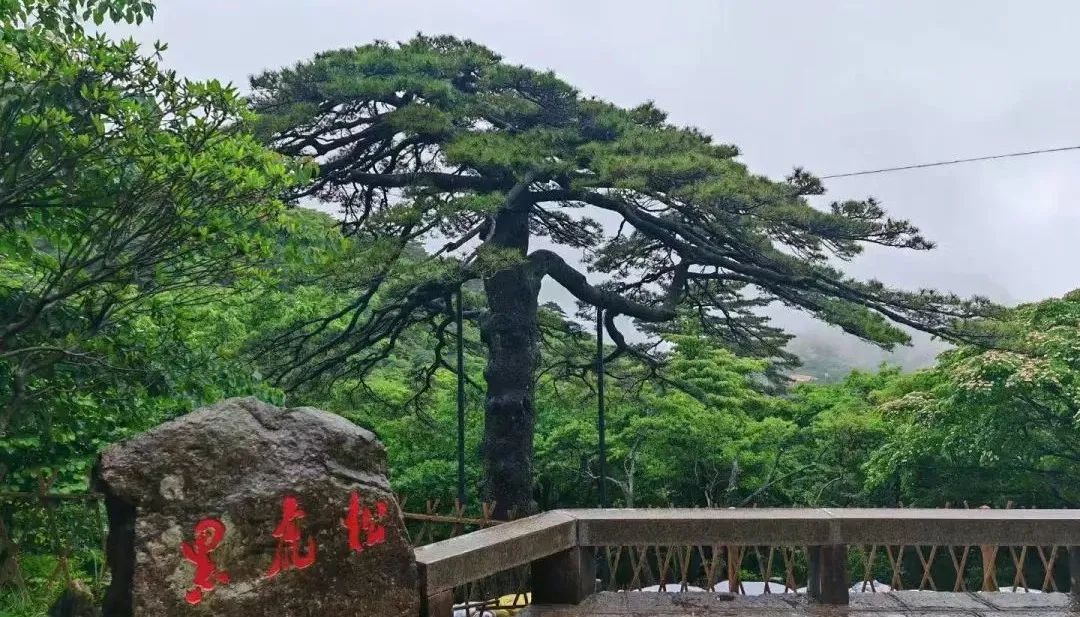 左右滑动查看更多图片