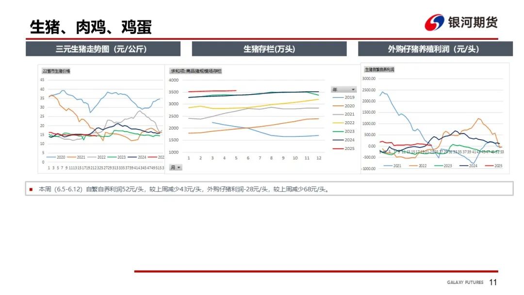 【玉米和淀粉周报】玉米现货上涨  盘面高位震荡