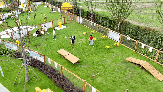 ▲精灵鸟公园亲宠嘉年华