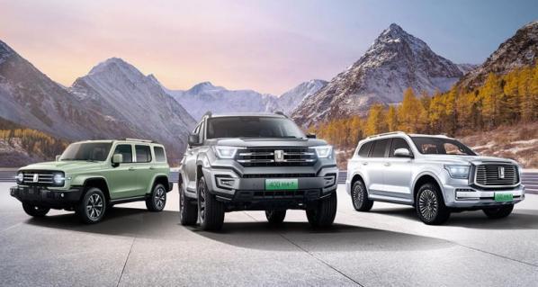 5月硬派越野车型销量TOP20出炉：坦克品牌前六占四