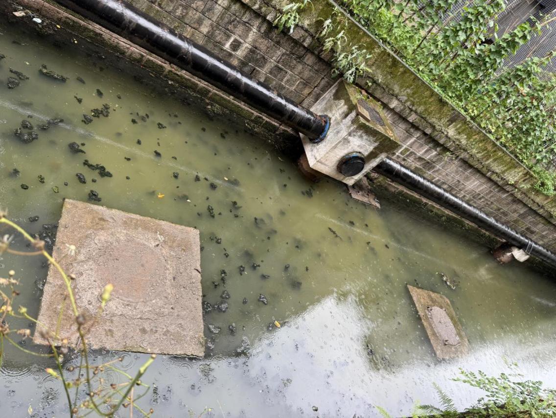 經雨水衝刷,瘦畔河段湧起的汙垢。人民網 歐陽易佳攝