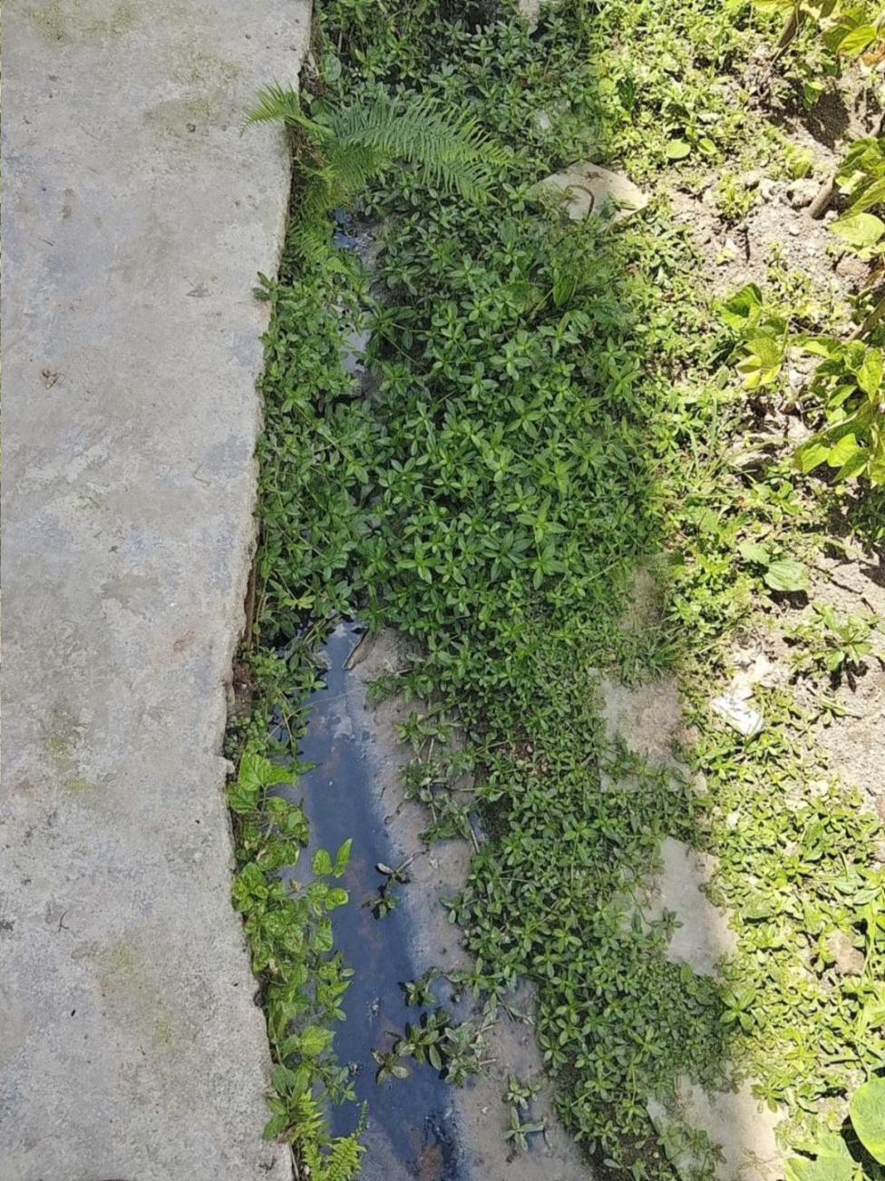 村莊污水橫流。生態環境部供圖