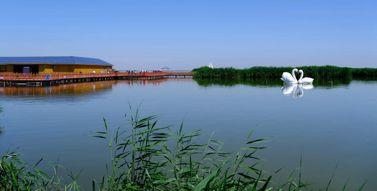 烏梁素海。(攝影/齊鴻雁)