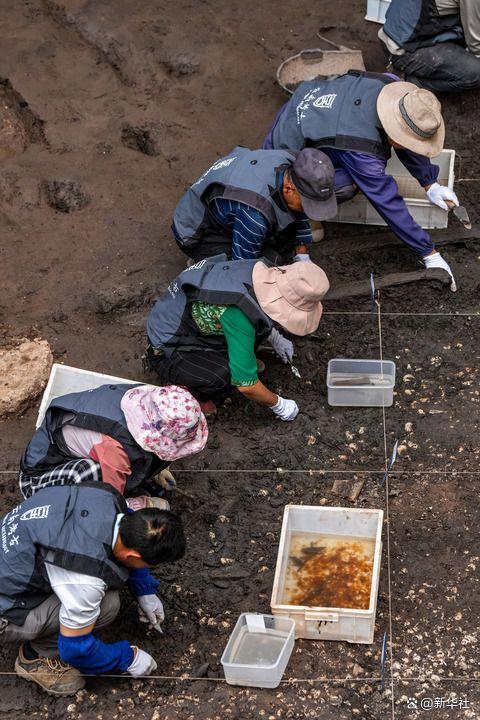 考古工作者在云南河泊所遗址现场进行清理发掘工作（2025年4月24日摄）。新华社记者 胡超 摄