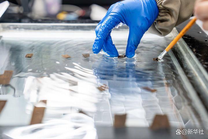 考古工作者对木简进行红外扫描（2025年4月24日摄）。新华社记者 胡超 摄